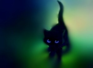 Create meme: cat, black kitten, black cat