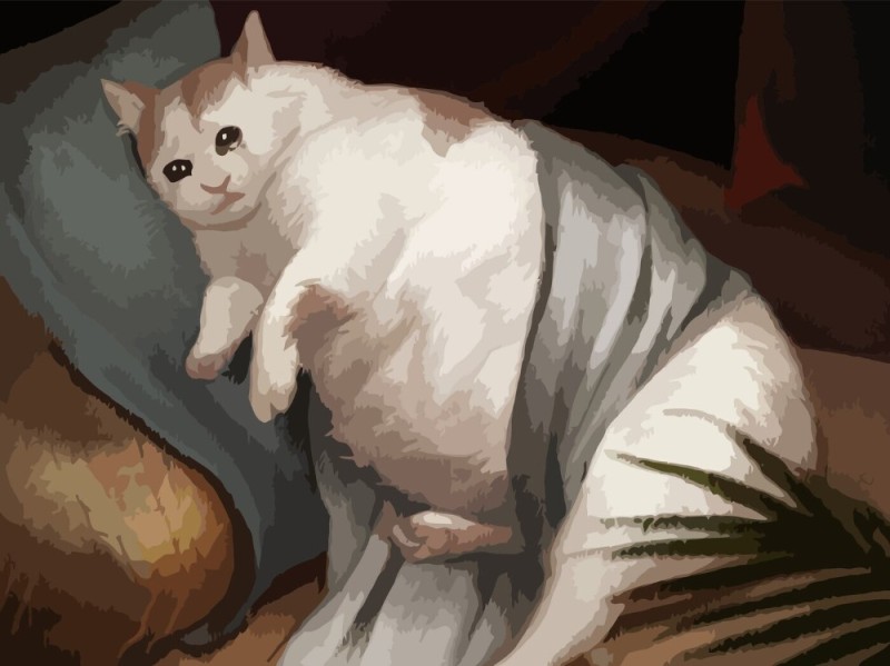 Create meme: fat cat, painting by numbers with a fat cat, cat picture
