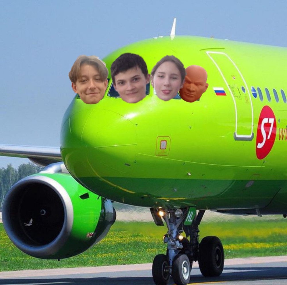 Create meme: s7 airlines aircraft, airbus A319 s7 airlines, the plane 