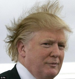 Create meme: trump hair, trump's hair, donald trump hair