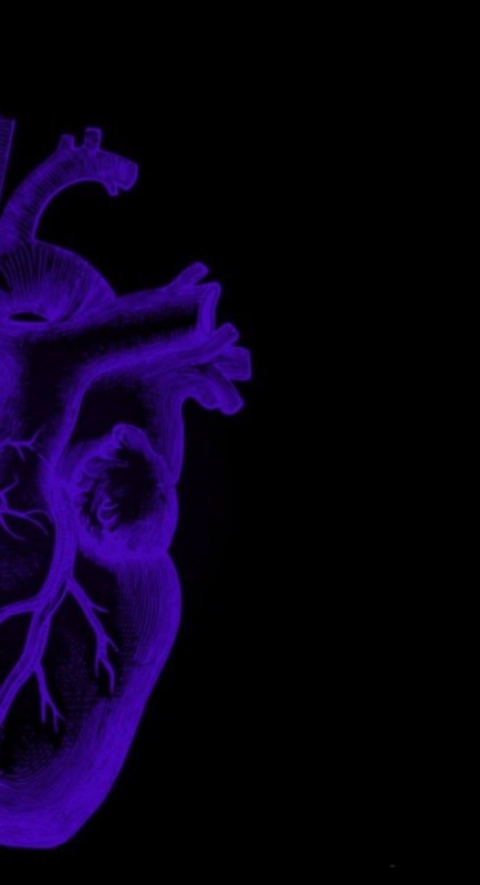 Create meme: heart , the human heart, anatomical heart
