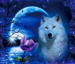 Создать мем: красивый волк, алмазная мозаика волки, алмазная живопись