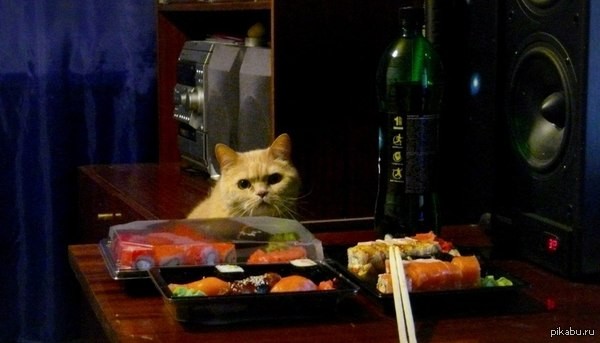 Создать мем: кот ворует суши, кот, кошка и роллы