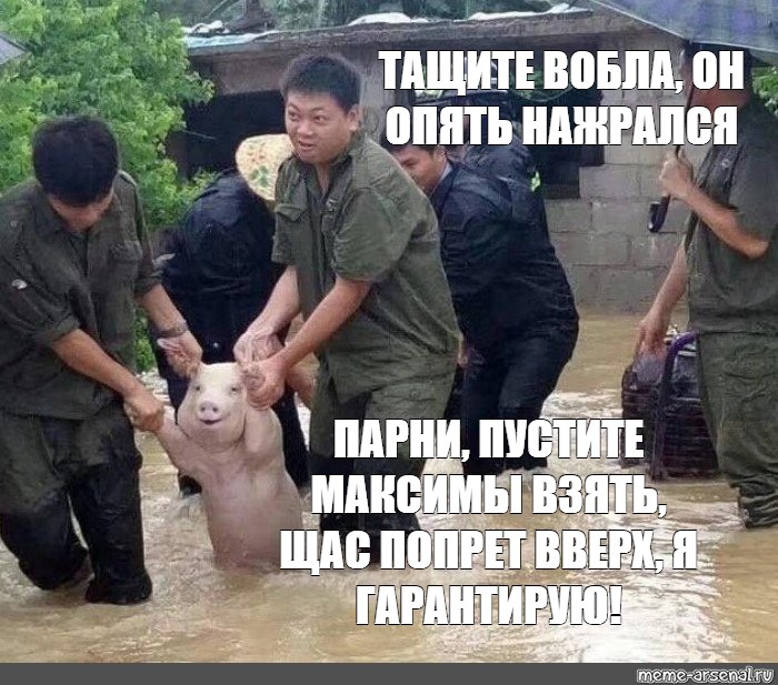Тащи свиней. Китайский Мем.