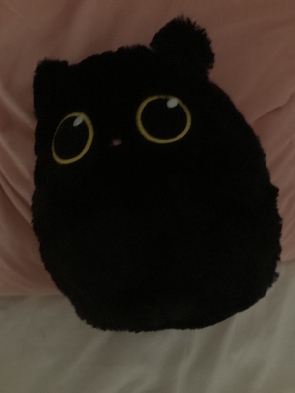 Создать мем: чёрный котик, подушка игрушка, мягкая игрушка котик