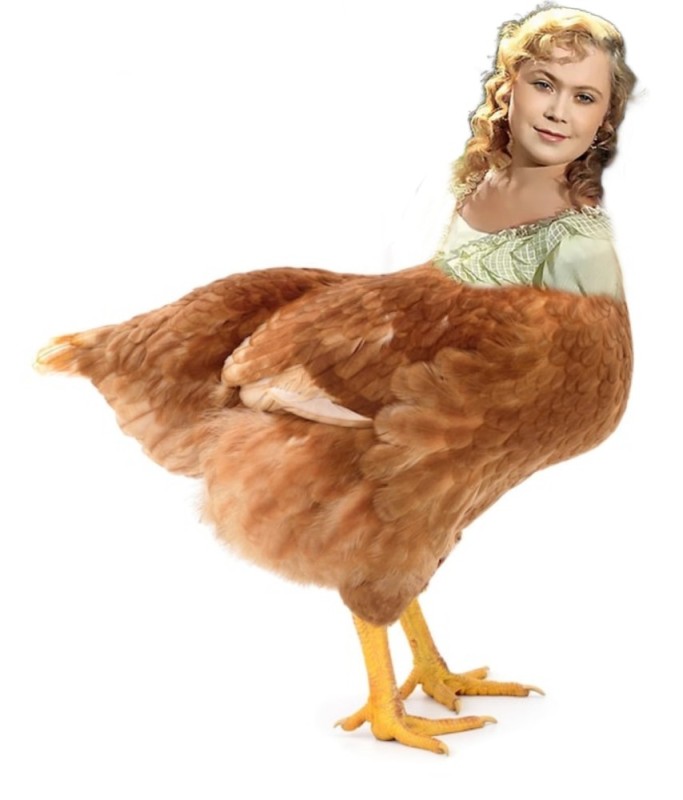 Create meme: bird chicken , photo of a chicken, brown chicken