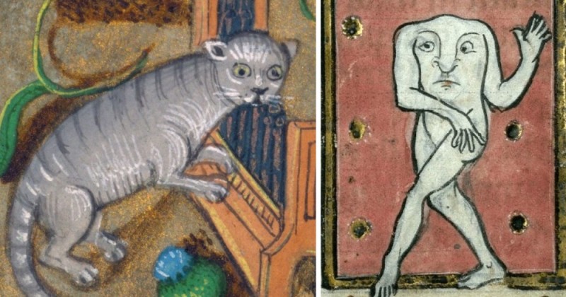 Create meme: seals in medieval paintings, medieval bestiary cat, medieval bestiary of cat engravings