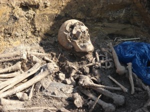 Create meme: the remains in the crypt, excavations, human remains