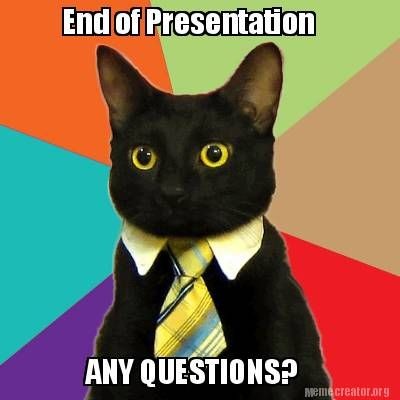 Create meme: cat with a tie, Mr. cat, a business cat