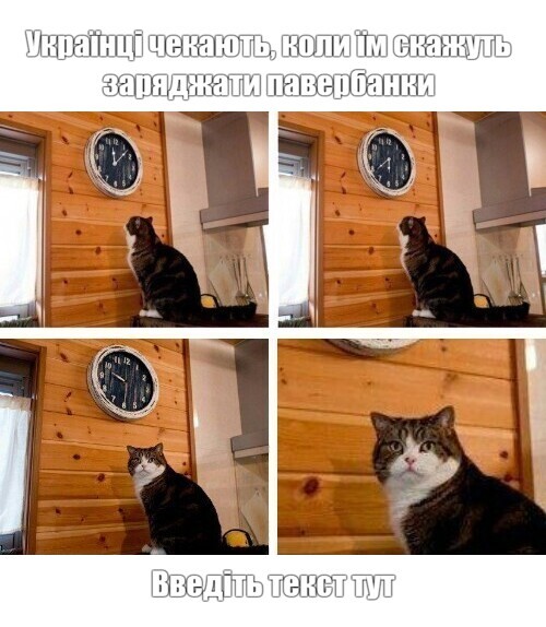Create meme: the cat looks at his watch meme, Oh no I think I missed the cat, meme the cat and the clock time
