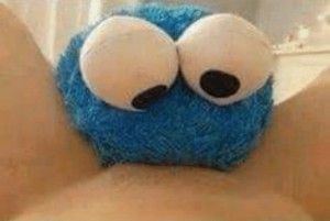 Create meme: the cookie monster, soft toys, plush toy