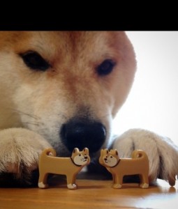 Create meme: cute dogs, Shiba inu meme