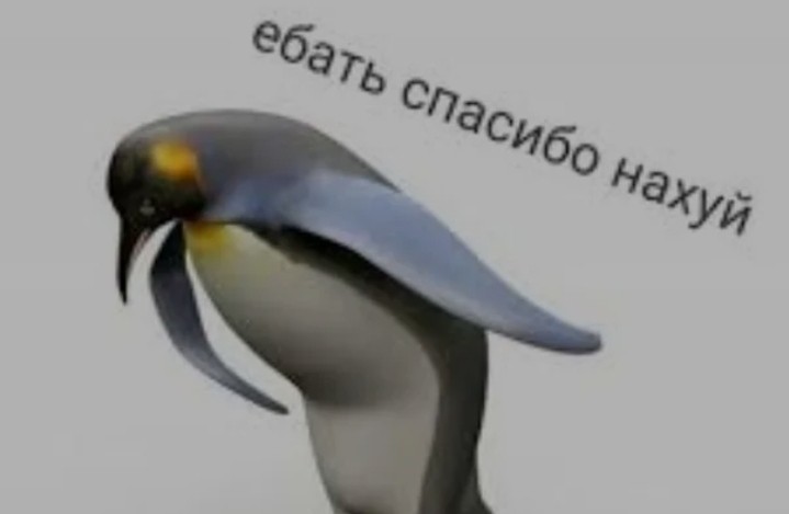 Создать мем: пингвин спасибо, пингвин из мема спасибо, ну спасибо пингвин