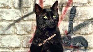 Создать мем: чёрная кошка, черный кот, кошка с пилочкой