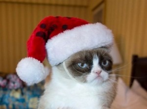 Create meme: New year grumpy cat