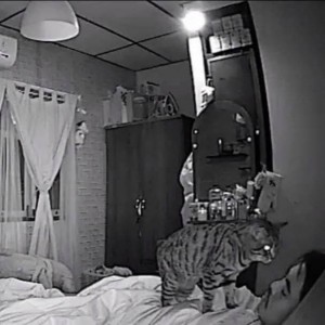 Create meme: photograph of Diane Arbus girl in the room, boys boarding school bedroom, GIF room of ghosts