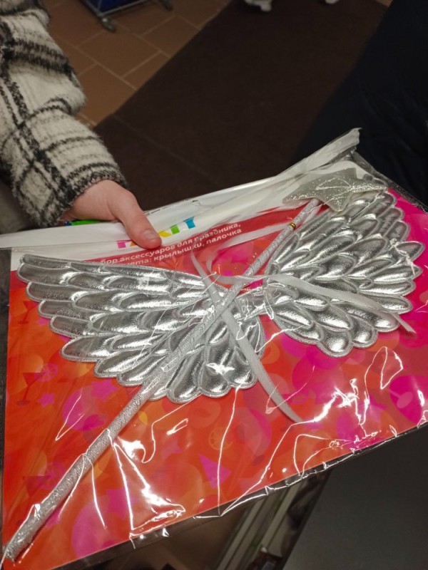 Create meme: wings , angel's wing, carnival wings