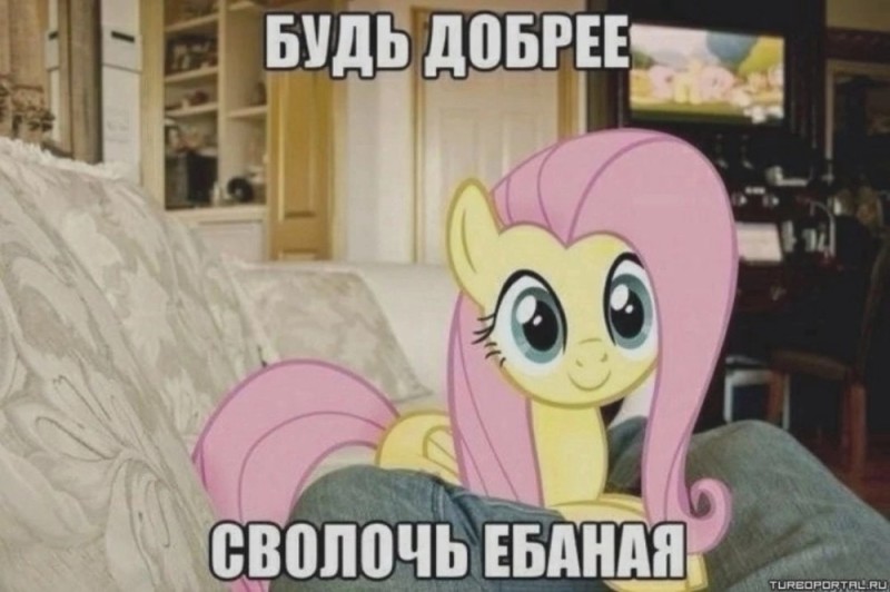 Создать мем: my little pony fluttershy, пони мем, пони литл