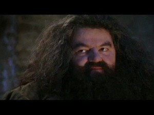 Create meme: Hagrid you're a wizard Harry, Hagrid, Harry Potter Hagrid