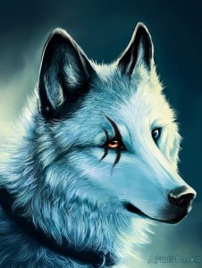 Create meme: white wolf fantasy, wolf avatar, wolf