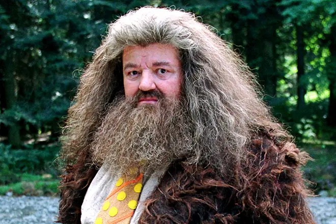 Create meme: rubeus hagrid, Harry potter hagrid actor, Harry Potter Hagrid
