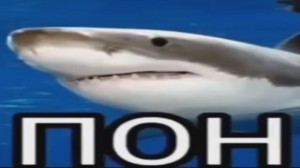 Create meme: shark Stingray, shark meme, pon shark meme