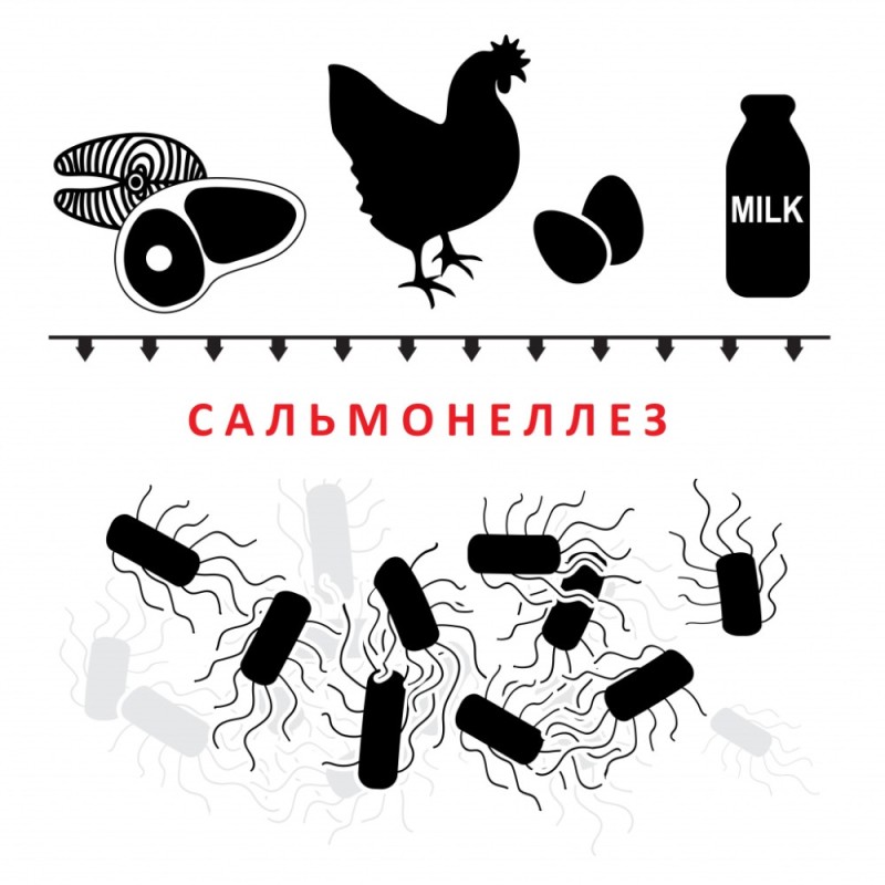 Create meme: salmonellosis, salmonellosis of animals, chicken silhouette