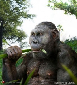 Create meme: parantap massive, Australopithecus robustus, beautiful gorilla