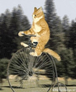 Create meme: riding a Bicycle