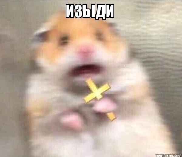 Create meme: meme hamster with a cross, a hamster with a cross, a scared hamster meme