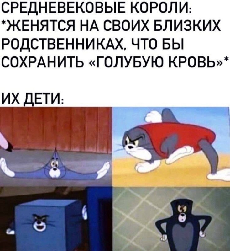 Create meme: memes funny , funny jokes, memes about Tom and Jerry
