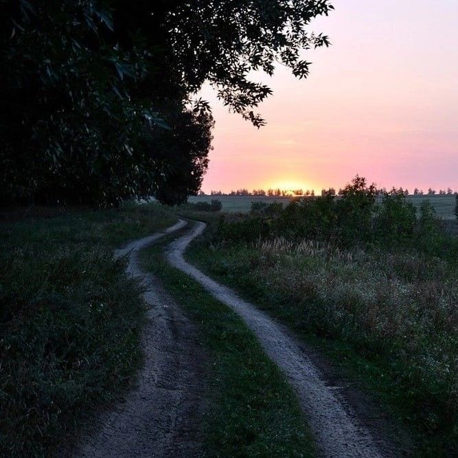 Create meme: country road, road , landscape 