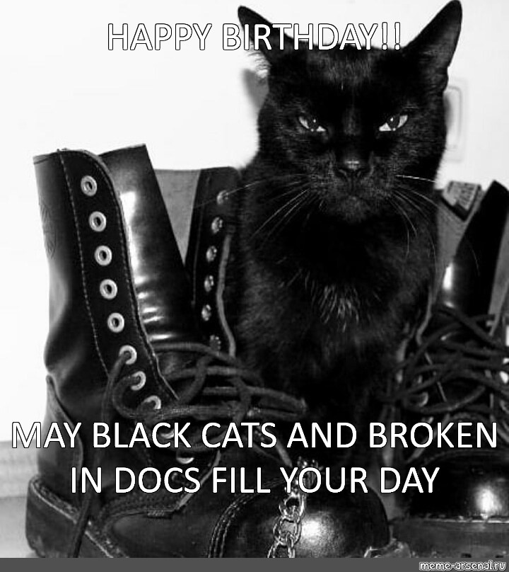 Meme Happy Birthday May Black Cats And Broken In Docs Fill