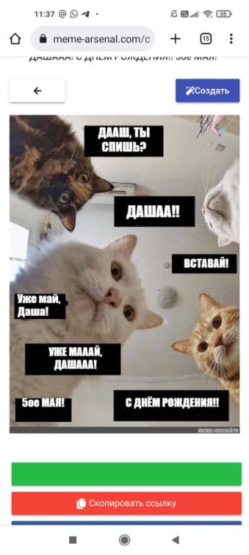 Create meme: cats natasha birthday get up, cat meme , natasha and the cats meme