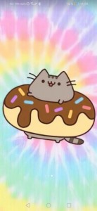Создать мем: pusheen, pusheen cat, пушин в пончике