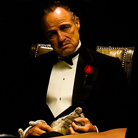 Create meme: don Corleone , don Corleone you ask for without respect, don Corleone without respect