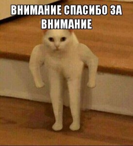 Create meme: cat Jock meme, meme Polyot