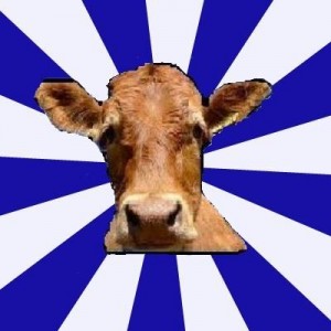 Create meme: cow, Low self esteem cow