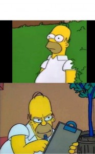 Create meme: the old Homer Simpson, meme with Homer about the anus, Homer
