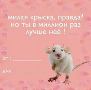 Создать мем: мышь крыса, валентинки мемы, милые валентинки