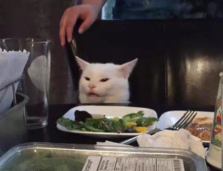 Создать мем: недовольный кот за столом, коты за столом, кот мем