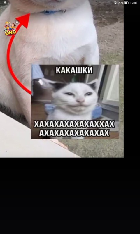 Create meme: ahahahahahah, ahahahahah, cat 