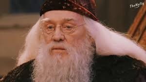 Create meme: Harry Potter and the philosopher's stone, Albus Dumbledore