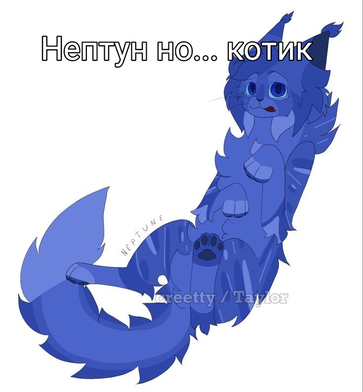 Create meme: warrior cats, blue star cats, blue star warrior cats