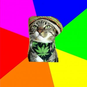 Create meme: Privet, azik, thug cat photo