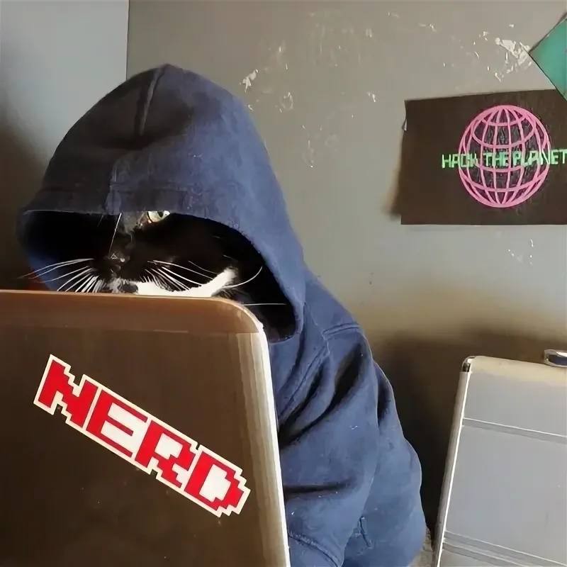 Create meme: hacker , stickers , the cat gamer 