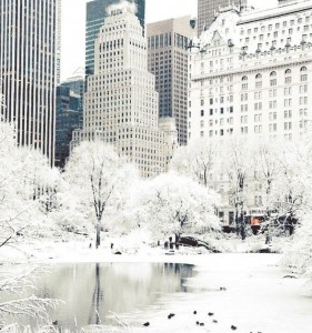Создать мем: зимний централ парк нью-йорк, нью йорк зимой, зимний нью йорк