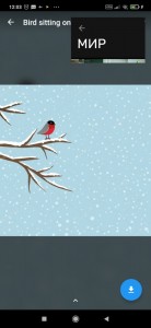 Create meme: winter, winter birds