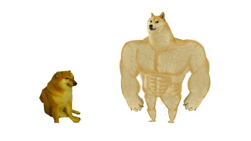Create meme: dog Jock meme, the pumped-up dog from memes, Buryatia 