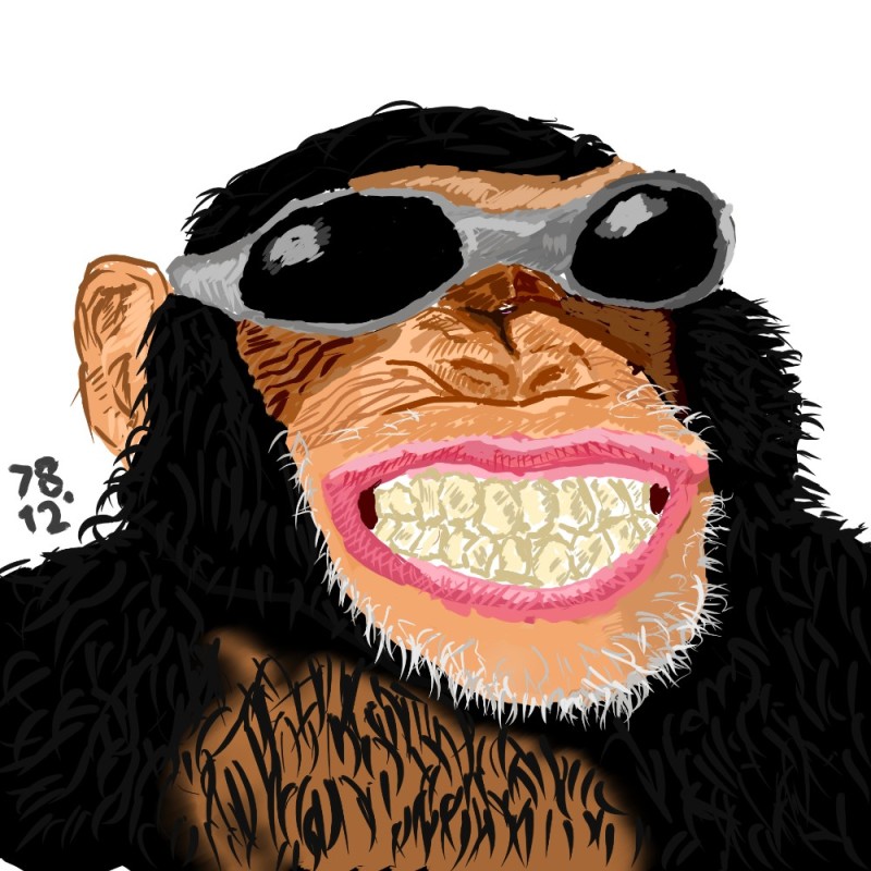 Create meme: the monkey laughs, monkey , chimpanzees 